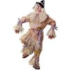 Forum Novelties Men's Deluxe Scarecrow Costume Standard