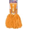 Forum Novelties Orange Cheerleader Kit