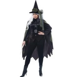 California Costumes Gothic Witch Plus Size Costume -Costume Outfit Store unnamed file 2166
