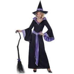 California Costumes Incantasia, The Glamour Adult Witch -Costume Outfit Store unnamed file 2714
