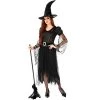 Rubie's Rubies Witch Of Darkness Adult Costume