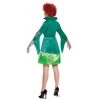 Adult Disney Hocus Pocus Winifred Sanderson Halloween Costume Dress