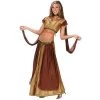Fun World Brown and Gold Sexy Belly Dancer Women Adult Halloween Costume - Medium