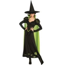 The Wizard of Oz The Wizard of Oz Wicked Witch Halloween Sensations Adult Costume