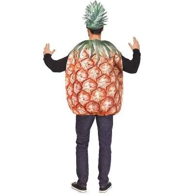 Fun World Prickly Pineapple Adult Costume 1 Fun World Prickly Pineapple Adult Costume
