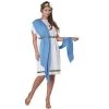 California Costumes Party Toga Adult Costume