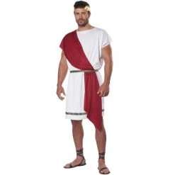 California Costumes Party Toga Adult Costume -Costume Outfit Store unnamed file 3553