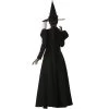 InCharacter Costumes InCharacter Wretched Witch Adult Costume