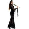 Dreamgirl Frightfully Beautiful Adult Costume