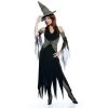 Paper Magic Wicked Of Oz The Wicked Witch Costume Adult