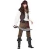 California Costumes Rogue Pirate Adult Costume