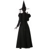 InCharacter Costumes InCharacter Wretched Witch Plus Size Costume