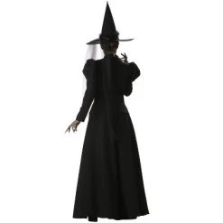 InCharacter Costumes InCharacter Wretched Witch Plus Size Costume