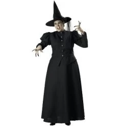 InCharacter Costumes InCharacter Wretched Witch Plus Size Costume -Costume Outfit Store unnamed file 4672