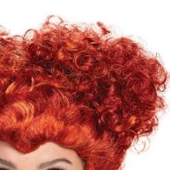 Disguise Adult Disney Hocus Pocus Winifred Sanderson Deluxe Halloween Costume Wig -Costume Outfit Store unnamed file 5069