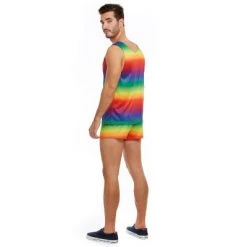 Dreamgirl Festive Rainbow Adult Costume